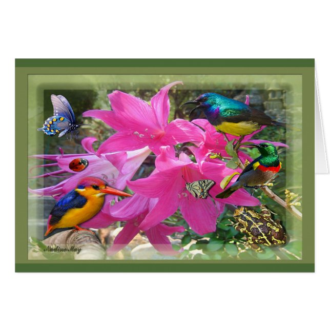 Amaryllis (Devant horizontal)