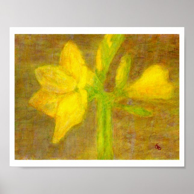 Amaryllis, Affiche (Devant)