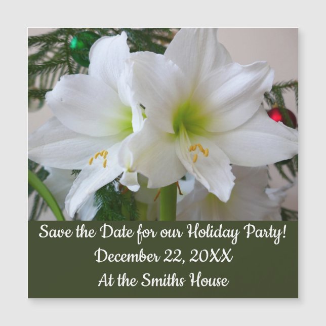 Amaryllis blanc et sapin de Noël (Devant)