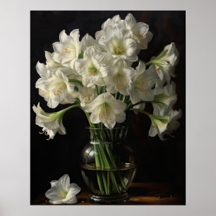Amaryllis blanc Fleurs Art Imprimer Poster