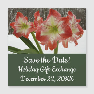 Amaryllis en Fête Rouge Neige Hiver Floral