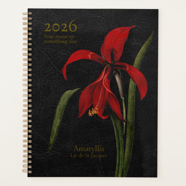 Amaryllis Grandiflora : Le Héraut de la Splendeur (Devant)