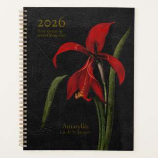 Amaryllis Grandiflora: The Herald of Splendour