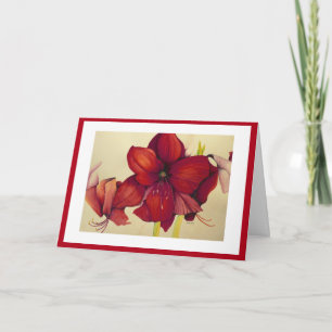 Amaryllis rouge de Noël peignant la carte rouge de