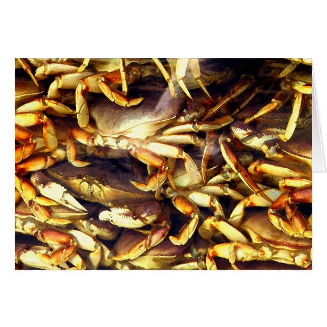 Amateur de crabe (Devant horizontal)