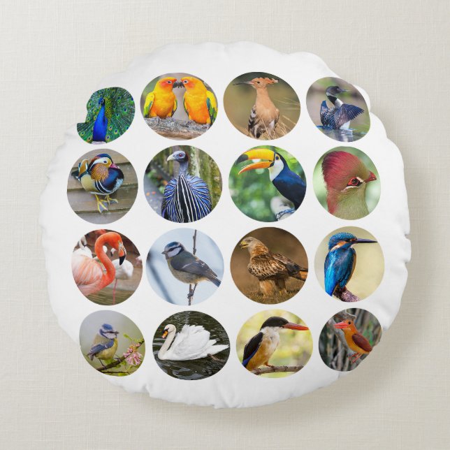 Amateurs d'oiseaux Coussin ronde (Devant)