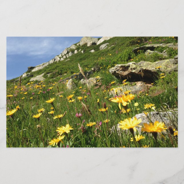 Amazing ! Alpine flowers (Devant)