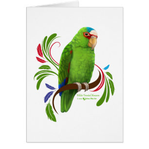 Amazonie à frontières blanches