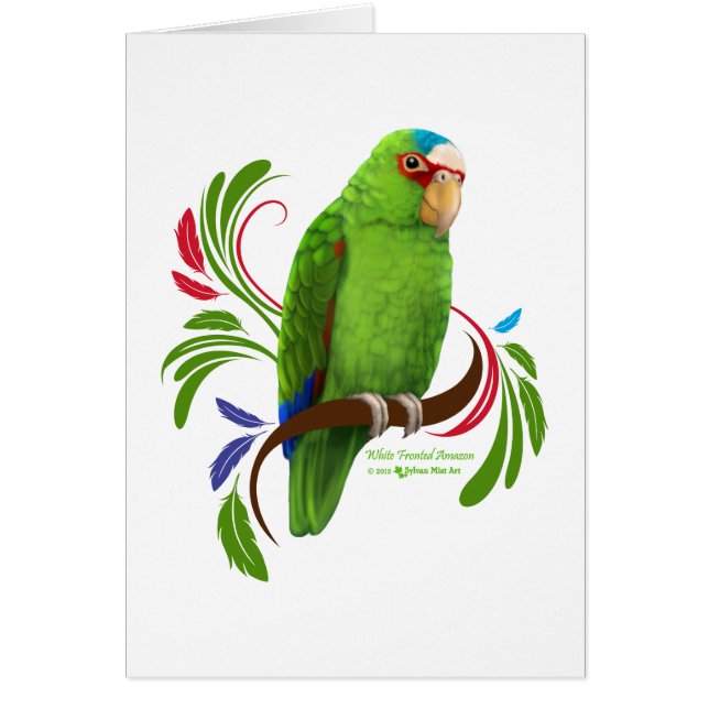 Amazonie à frontières blanches (Devant)