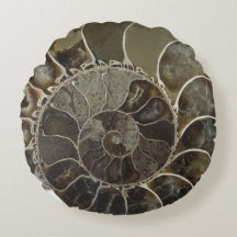 Amber Crystal Nautilus Shell Coussin