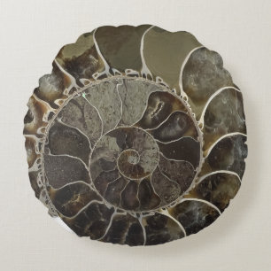 Amber Crystal Nautilus Shell Coussin