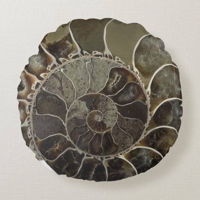 Amber Crystal Nautilus Shell Coussin (Devant)