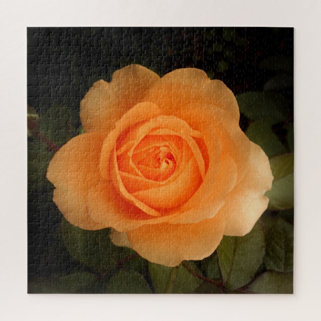 Amber Flush Rose Puzzle (Vertical)
