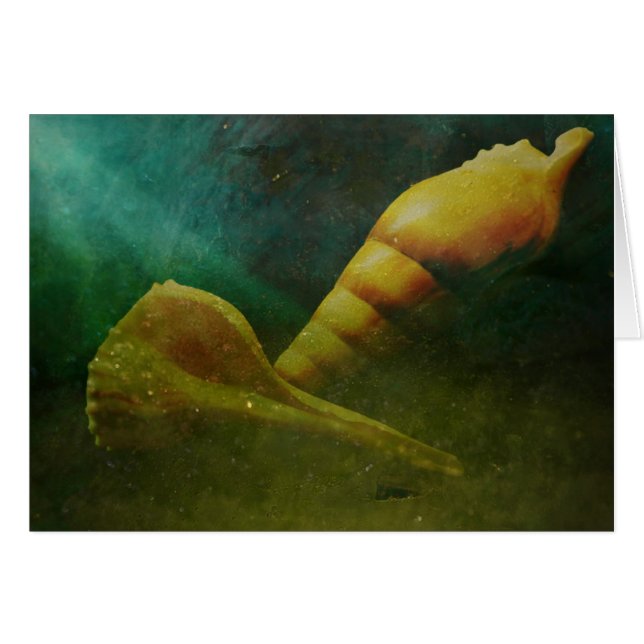 Âme cachée dessous (Devant horizontal)