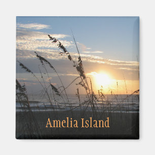 Amelia Island aimant