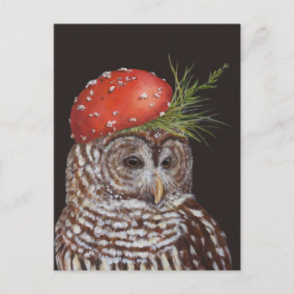 amelie la carte postale de hibou barred