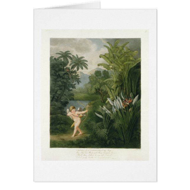 Aménagez en parc avec le cupidon visant une flèche (Devant)