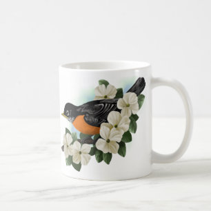 Américain Robin et tasse de fleur de cornouiller