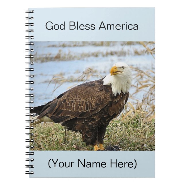 American Bald Eagle Photo sur un 8x10 Journal (Devant)