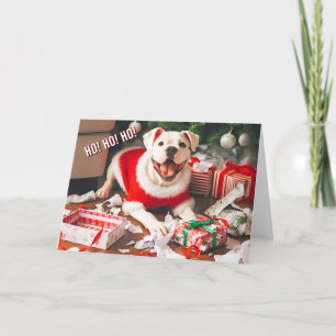 American Bulldog déchiffrer la carte cadeau de Noë