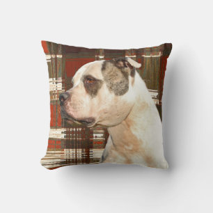 American Bulldog Plaid Coussin