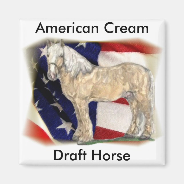 American Cream Horse Magnet (Devant)