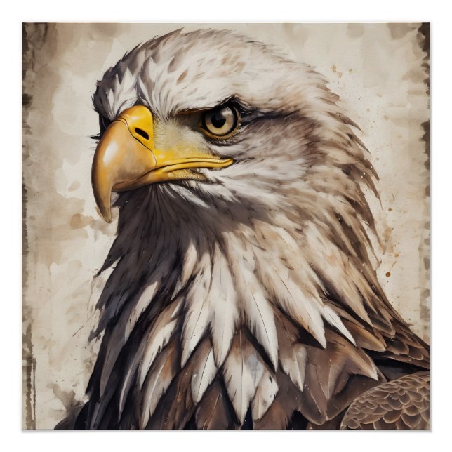 American Eagle no 5 Glossy Poster (Devant)