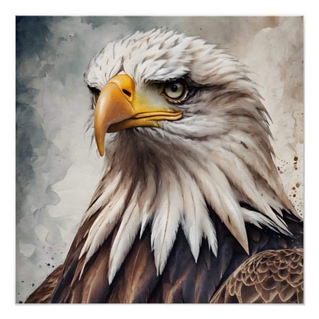 American Eagle no 8 Glossy Poster (Devant)