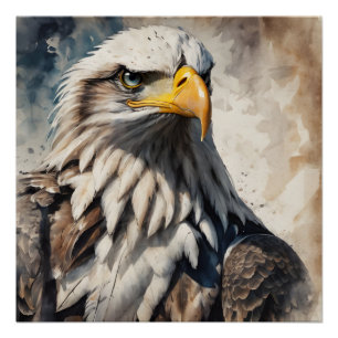 American Eagle no 9 Glossy Poster