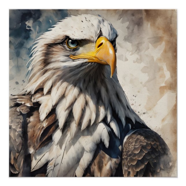 American Eagle no 9 Glossy Poster (Devant)