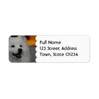 American Eskimo Chien Étiquettes de messagerie