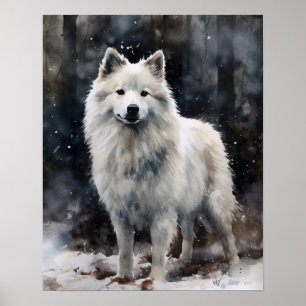 American Eskimo Dog Art Poster
