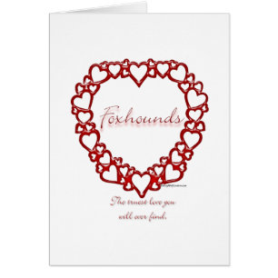 American Foxhound True Love