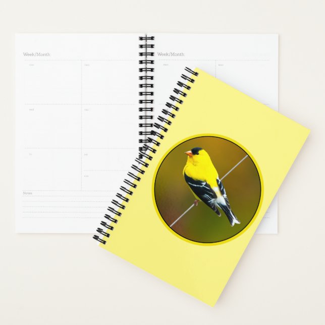 American Goldfinch - Photo originale (Devant avec enveloppe)
