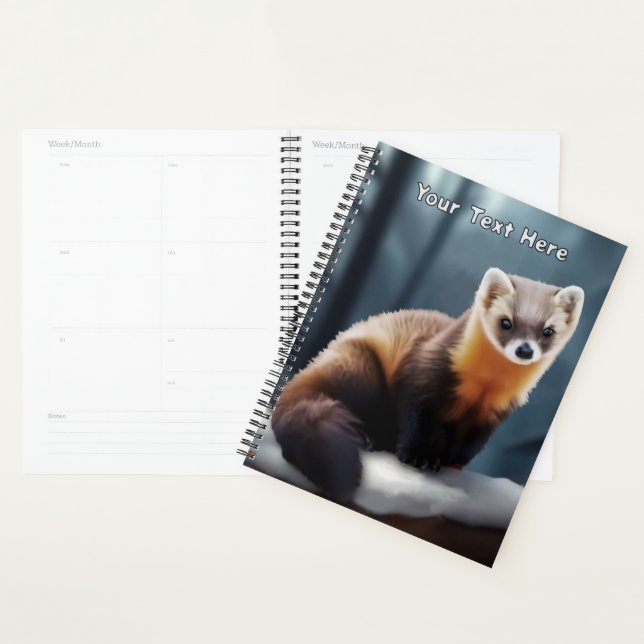 American Pine Marten (Devant avec enveloppe)