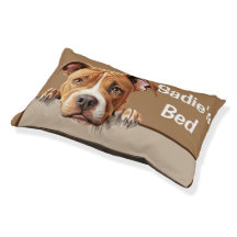 American Pit Bull Peeeking Chien Chien Coussin Chi