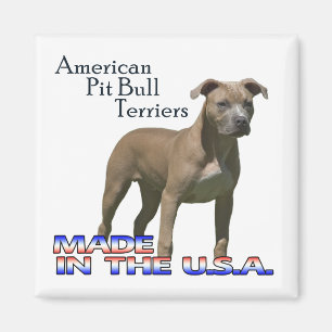 American Pit Bull Terriers : Magnet Carré