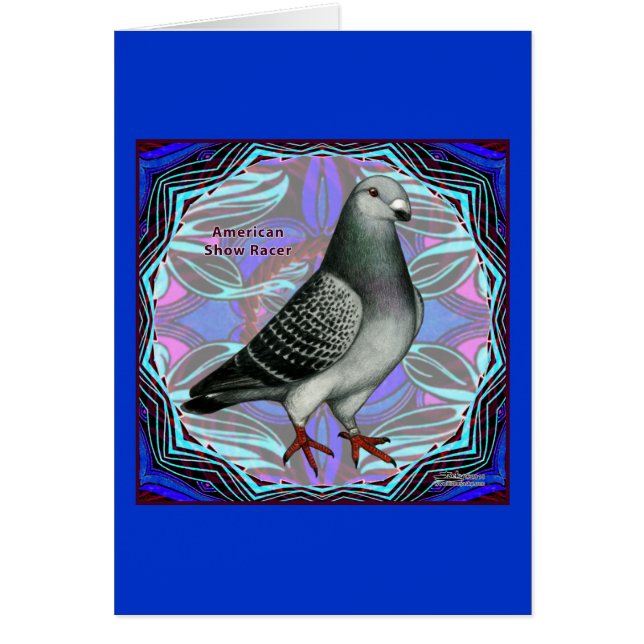 American Show Racer (Devant)