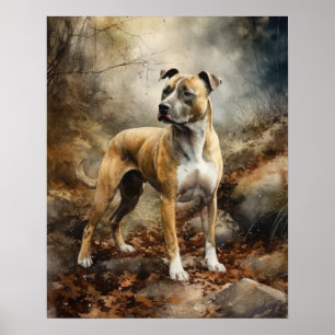 American Staffordshire Dog Art Print Poster