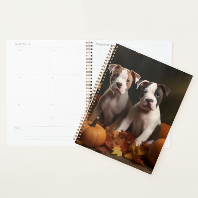 American Staffordshire Puppy Automne Délice (Devant avec enveloppe)