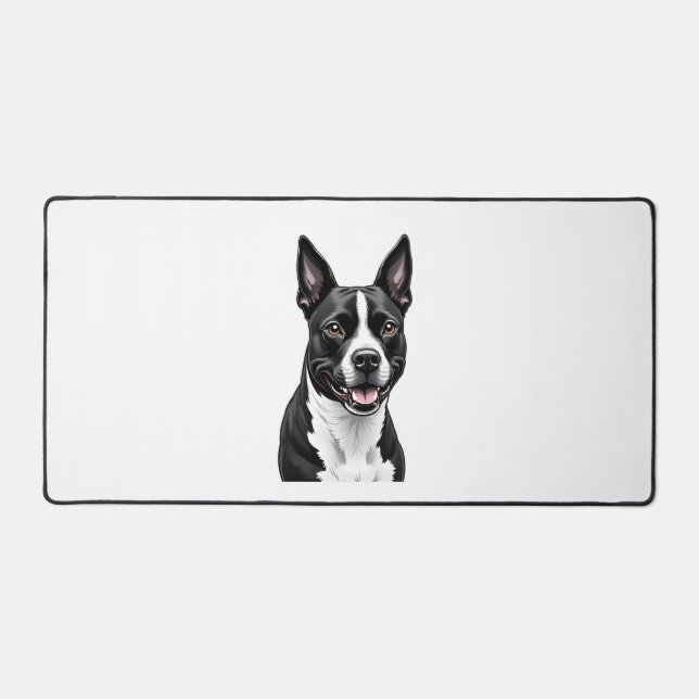 American Staffordshire Terrier (Recto)