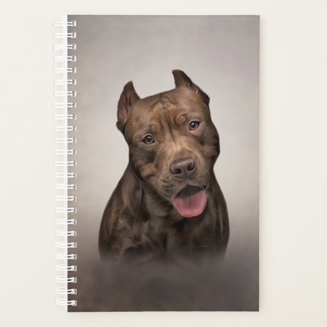 American Staffordshire Terrier (Devant)