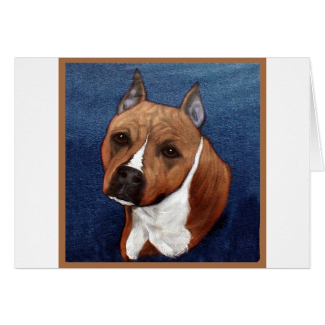 American Staffordshire Terrier (Devant horizontal)