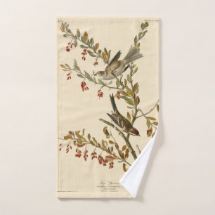 American Tree Sparrow, les oiseaux d'Amérique d'Au