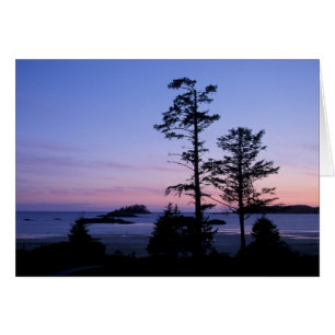 Amérique du Nord, Canada, île de Vancouver, arbres