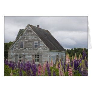 Amérique du Nord, Canada, Île-du-Prince-Édouard,