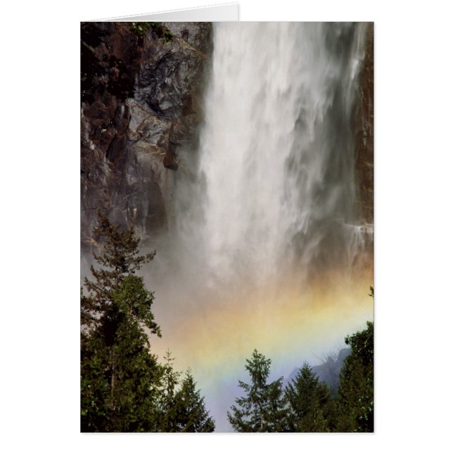 Amérique du Nord, États-Unis, Californie, Yosemite (Devant)