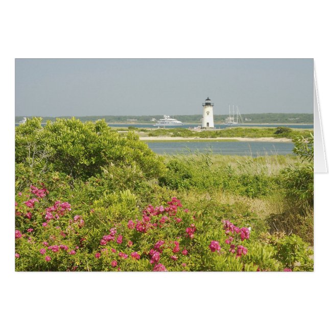 Amérique du Nord, États-Unis, Massachusetts, Marth (Devant horizontal)