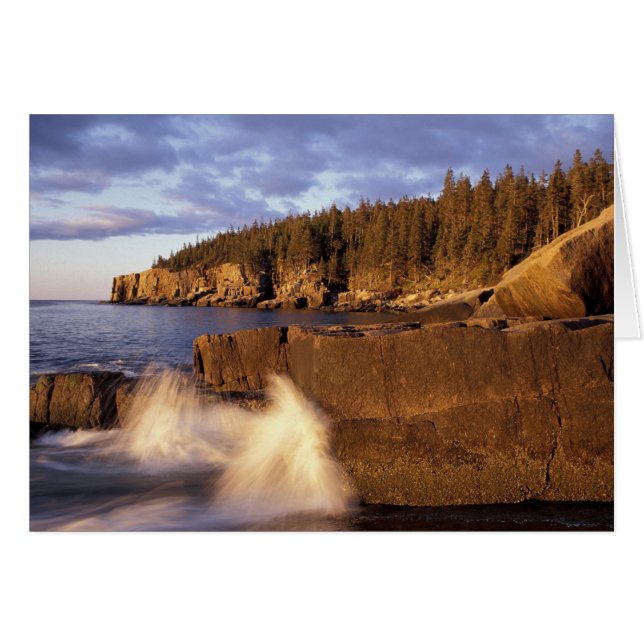 Amérique du Nord, États-Unis, ME, La côte rocheuse (Devant horizontal)