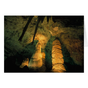 Amérique du Nord, États-Unis, Nouveau-Mexique, Car